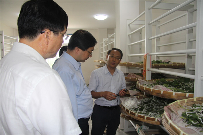 周勇到蘇豪蠶種公司等企業(yè)開展“三嚴(yán)三實”專題調(diào)研
